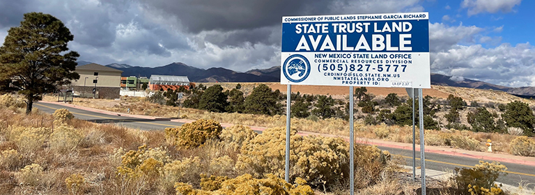 successor in interest or successor