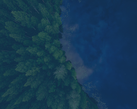 environmental feature